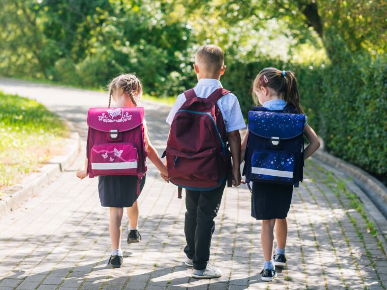 Back to School Guide 2020